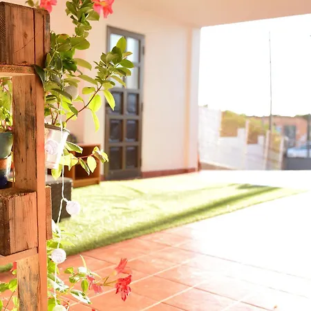 La Casa De Las Flores * Tacoronte