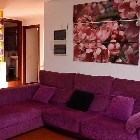 La Casa De Las Flores * Tacoronte