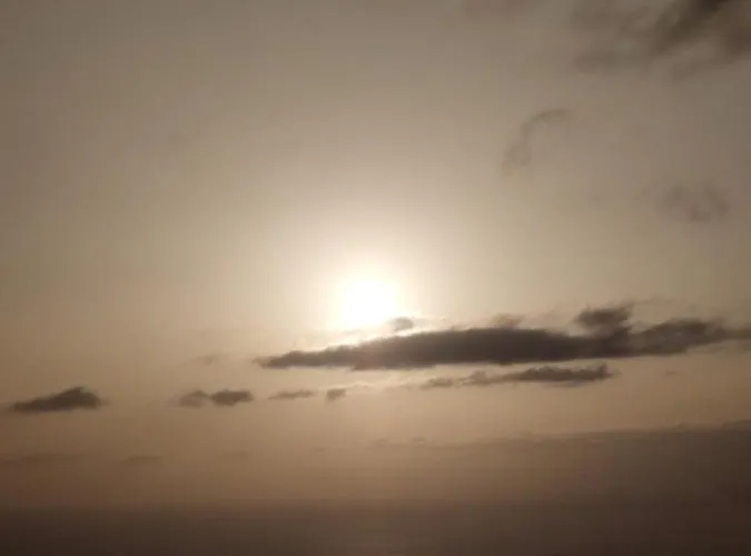 La Casa De Las Flores * Tacoronte