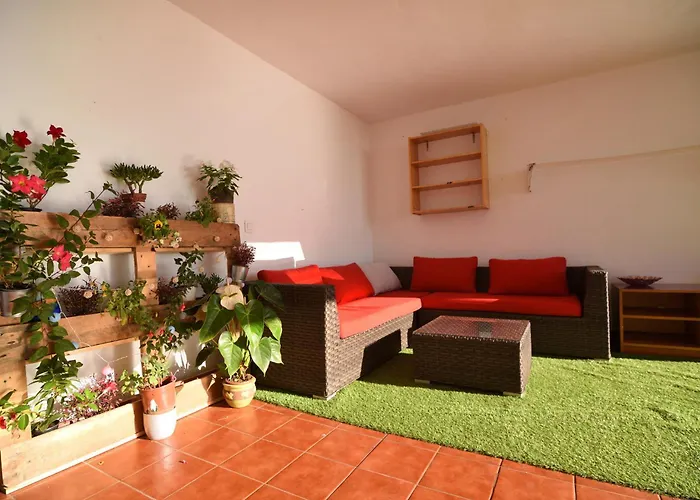 La Casa De Las Flores * Tacoronte