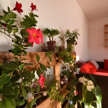 בית נופש La Casa De Las Flores