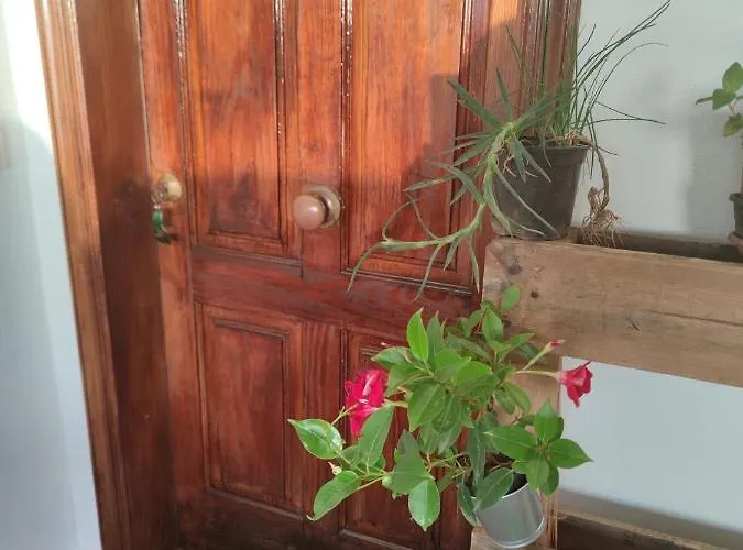 La Casa De Las Flores *