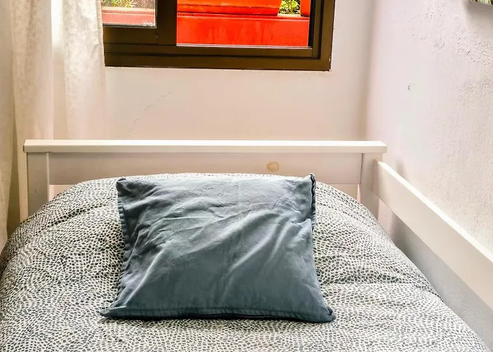 La Casa De Las Flores Tacoronte