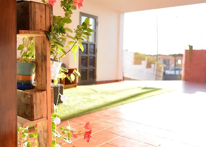 La Casa De Las Flores * טקורונטה