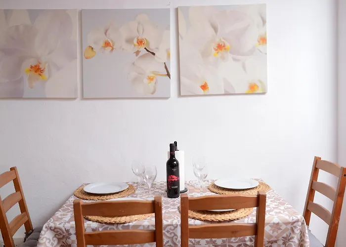 La Casa De Las Flores טקורונטה