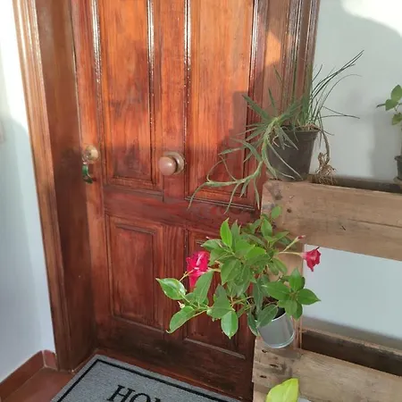 La Casa De Las Flores *