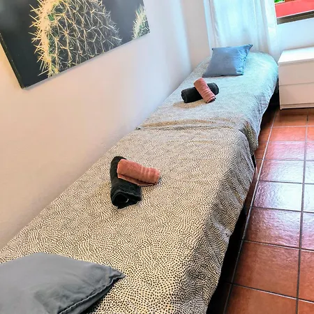 La Casa De Las Flores Tacoronte