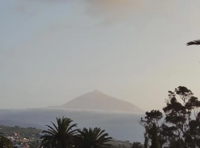 La Casa De Las Flores *