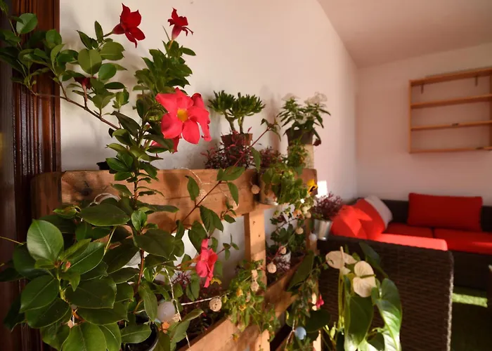 度假居 La Casa De Las Flores