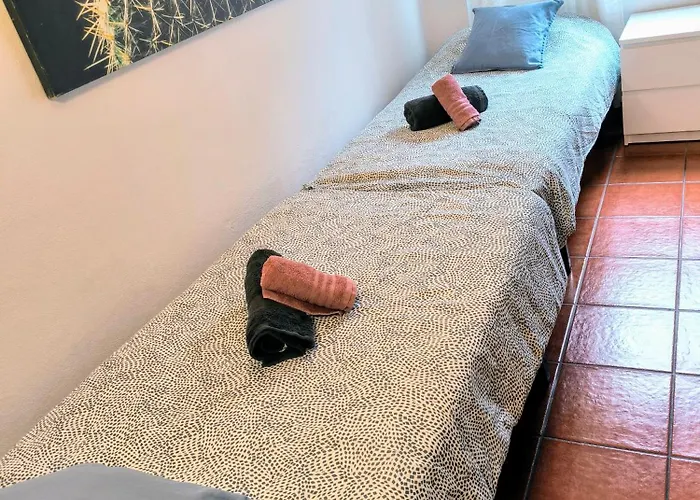 La Casa De Las Flores 塔科龙特